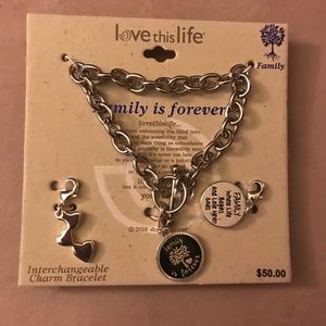 Interchangeable charm bracelet. Sterling silver